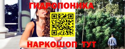 эйфоретик Ставрополь
