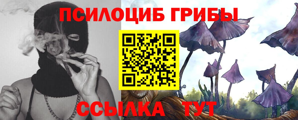 Галлюциногенные грибы прущие грибы Нижнеудинск