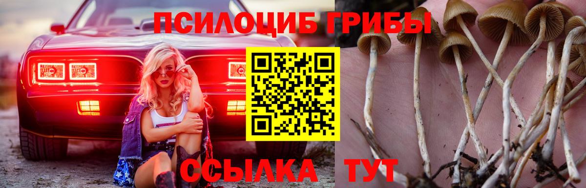 Галлюциногенные грибы Magic Shrooms  Вход с VPN  Псилоцибиновые грибы Psilocybine cubensis  Нижнеудинск 